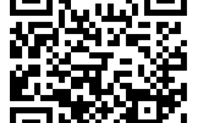 Website Launch!